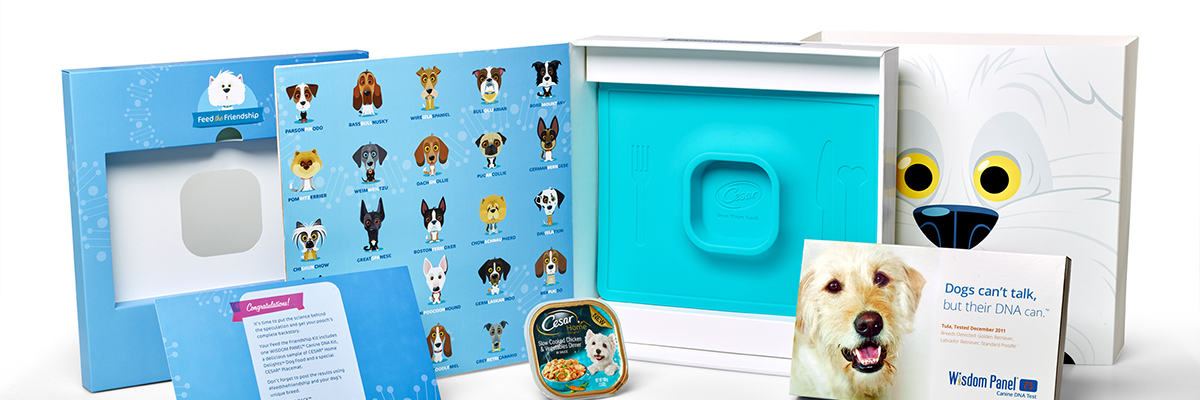 Cesar “Feed-the-Friendship” Campaign